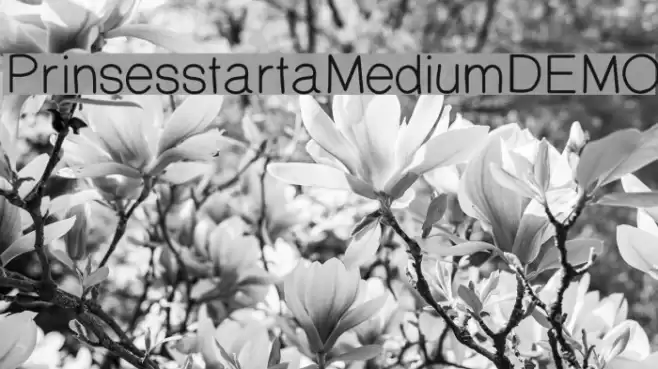 PrinsesstartaMediumDEMO Font examples