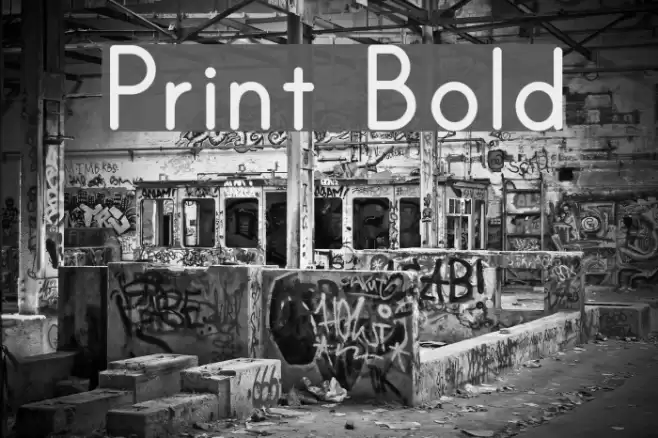 Print Bold Font examples