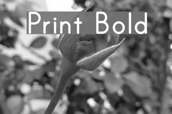 Print Bold Font examples