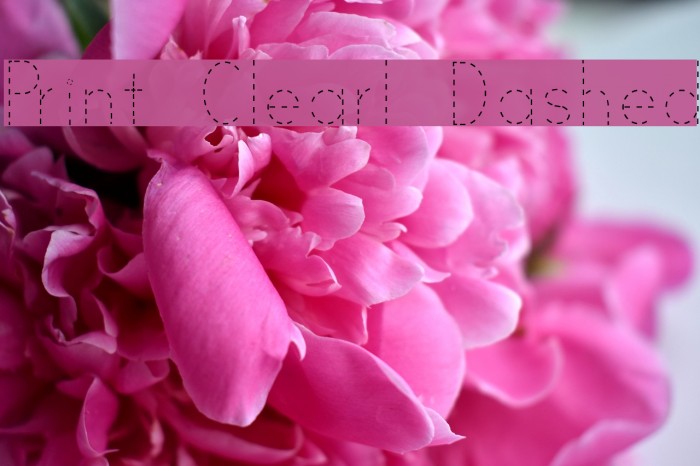 Print Clearly Dashed Font examples