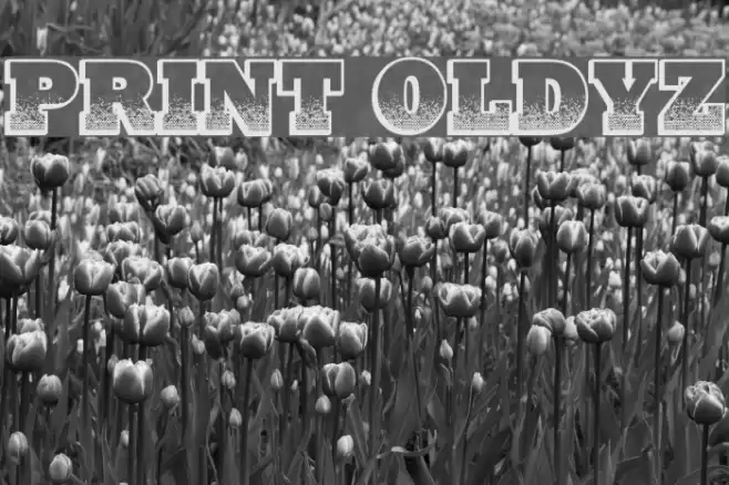 Print Oldyz Font examples