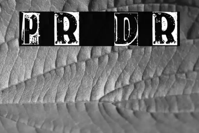 Print Room 1 _ Demo Regular خط examples