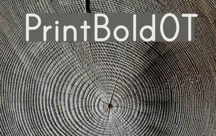 PrintBoldOT Font examples