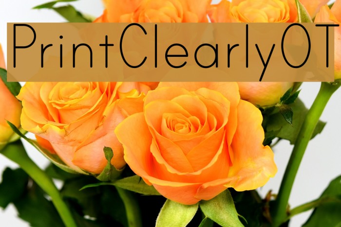 PrintClearlyOT Fonte examples