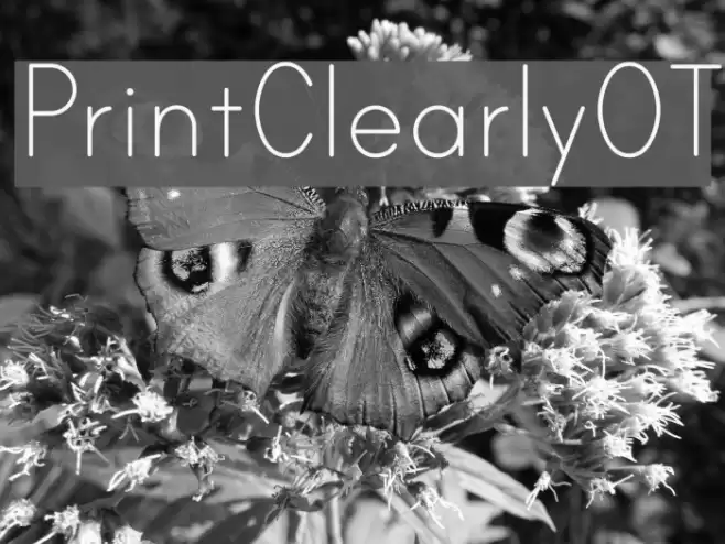 PrintClearlyOT Fonte examples
