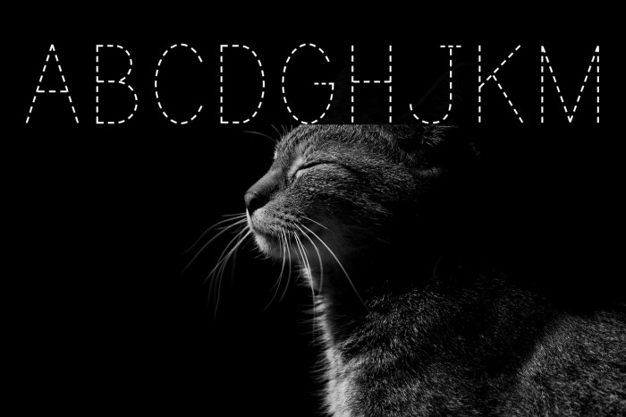 PrintDashed Example 1