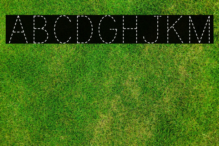 PrintDashed Example 2