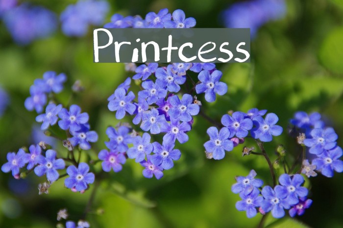 Printcess Font examples