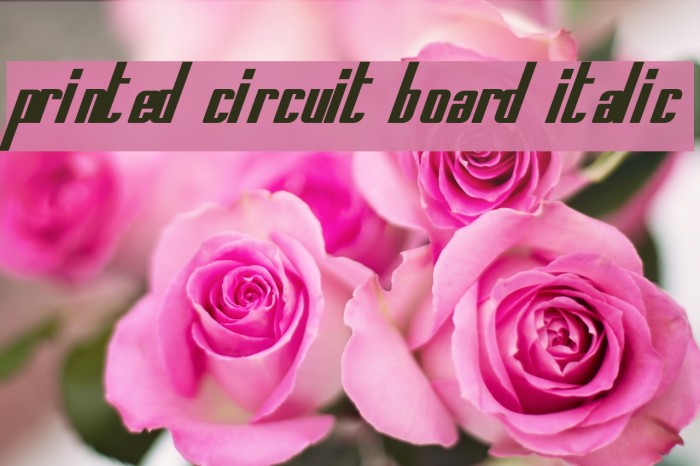 Printed Circuit Board Italic Font examples
