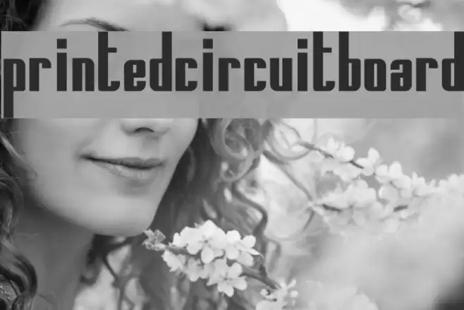 PrintedCircuitBoard خط examples