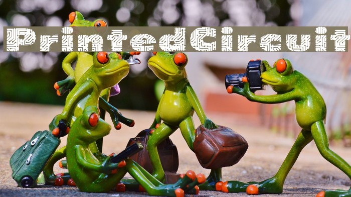 PrintedCircuit Example 2