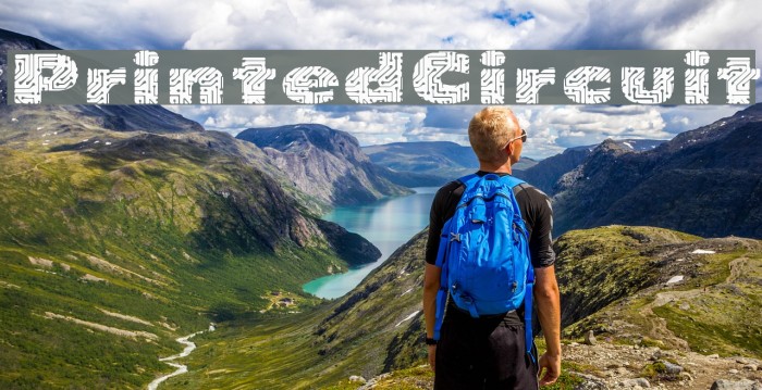 PrintedCircuit Example 3