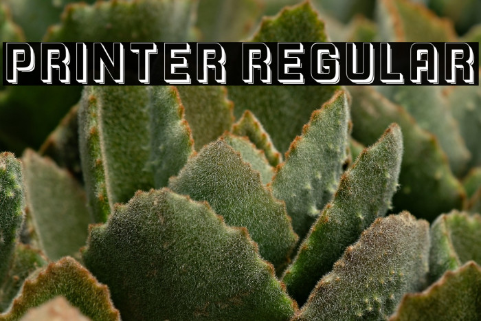 Printer Regular Example 1