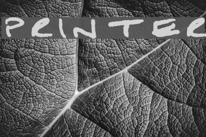 Printer Font examples