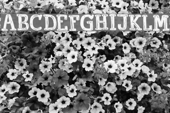 Printout DEMO Regular Font examples