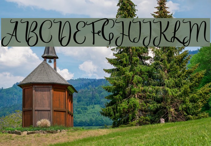 Priscilla Script Regular Font examples