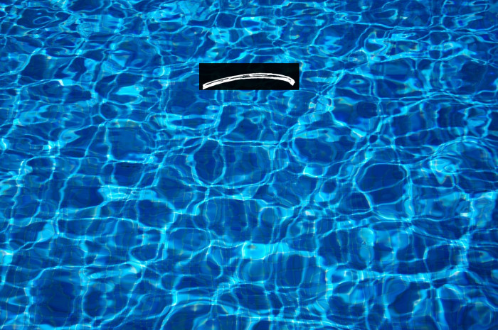 Priscilla Swash Example 3