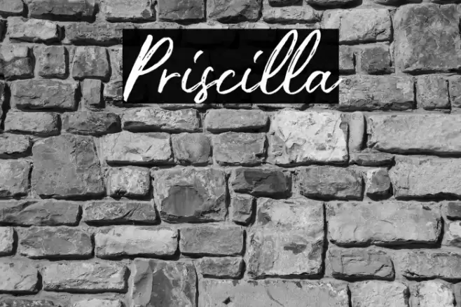 Priscilla Font examples