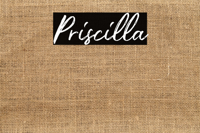 Priscilla Example 2