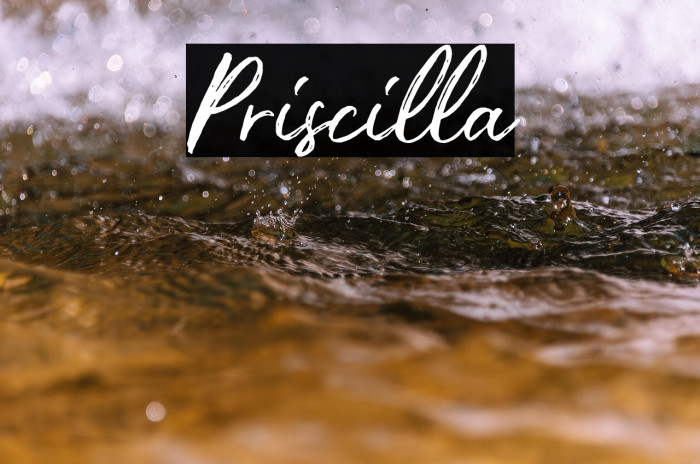 Priscilla Example 3
