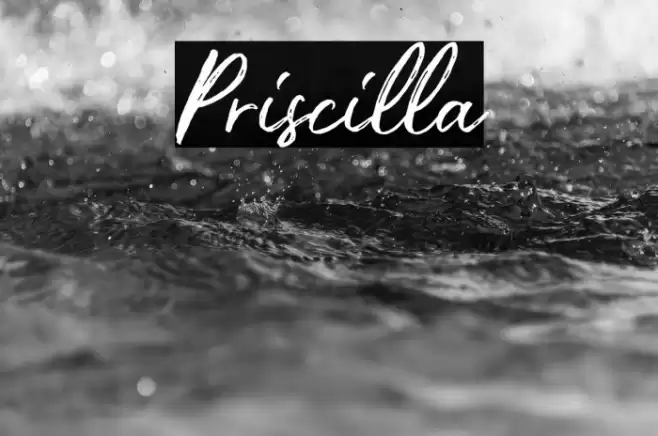Priscilla Font examples