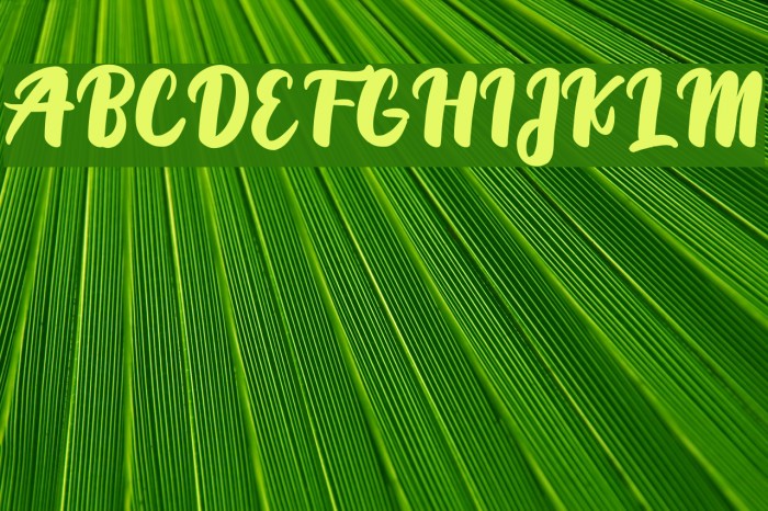 PriscilliaScript-Medium Font examples