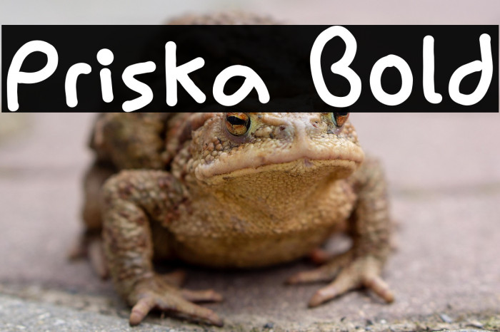 Priska Bold Example 2