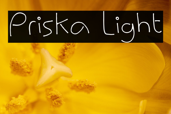 Priska Light Example 1