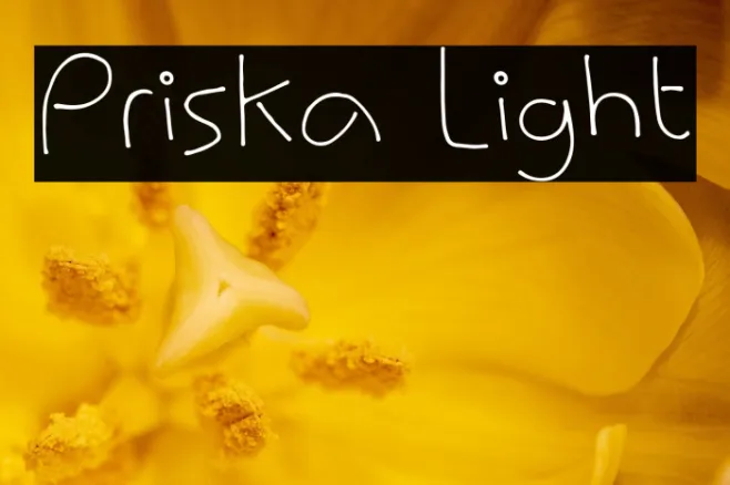 Priska Light Example 1