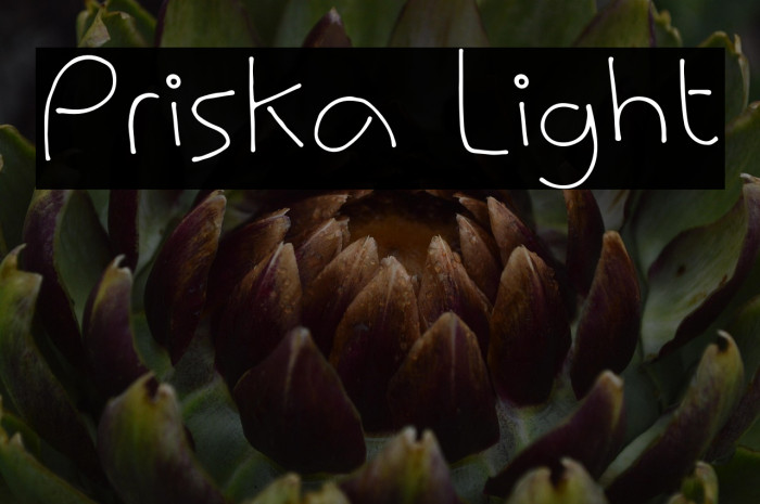 Priska Light Example 3