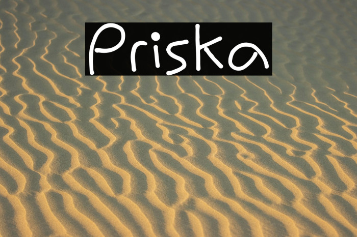 Priska Example 3
