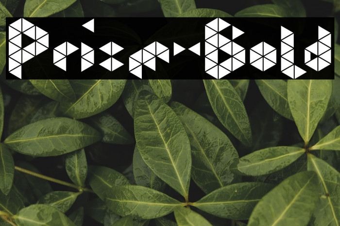 Prism-Bold Example 1