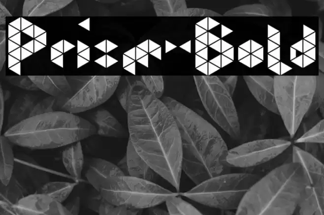 Prism-Bold Font examples