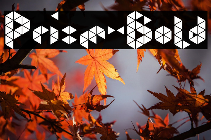 Prism-Bold Example 3