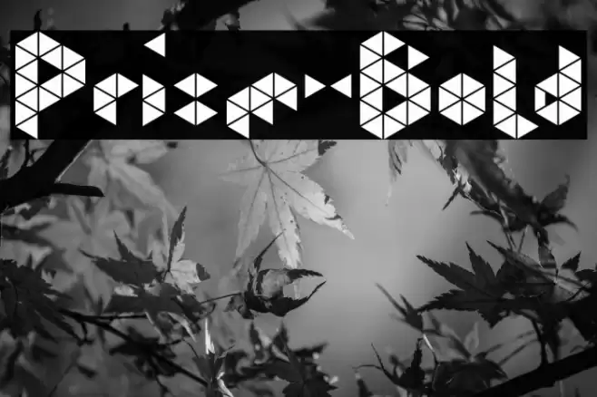 Prism-Bold Font examples