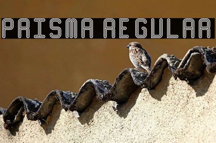 Prisma Regular Example 2