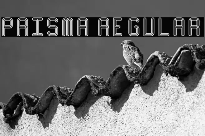 Prisma Regular Fuentes examples
