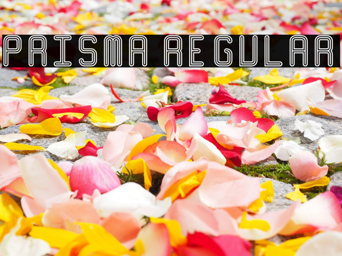 Prisma Regular Example 3