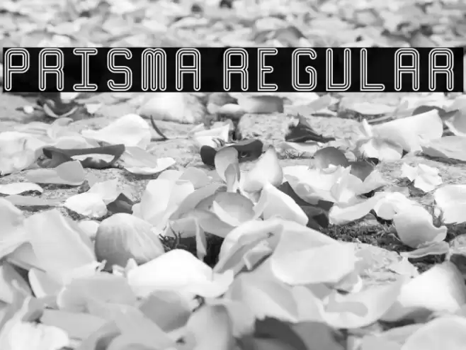Prisma Regular Fuentes examples