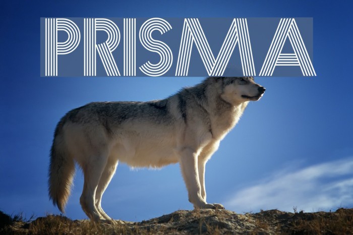 prisma pro font