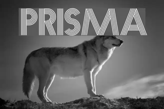 Prisma Font examples