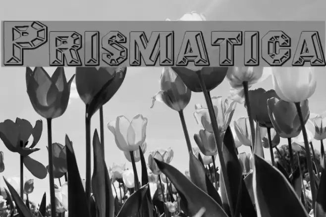 Prismatica Font examples