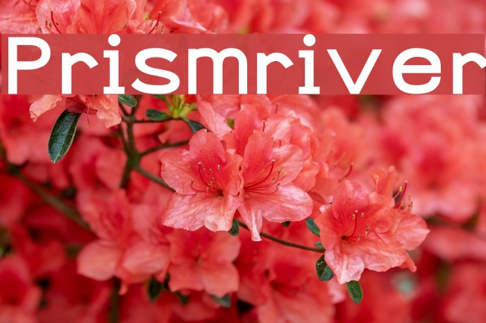 Prismriver Font examples