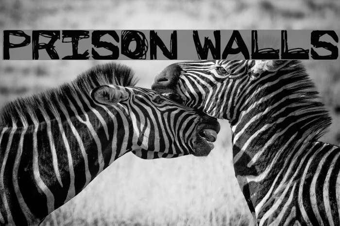 Prison Walls Example 2