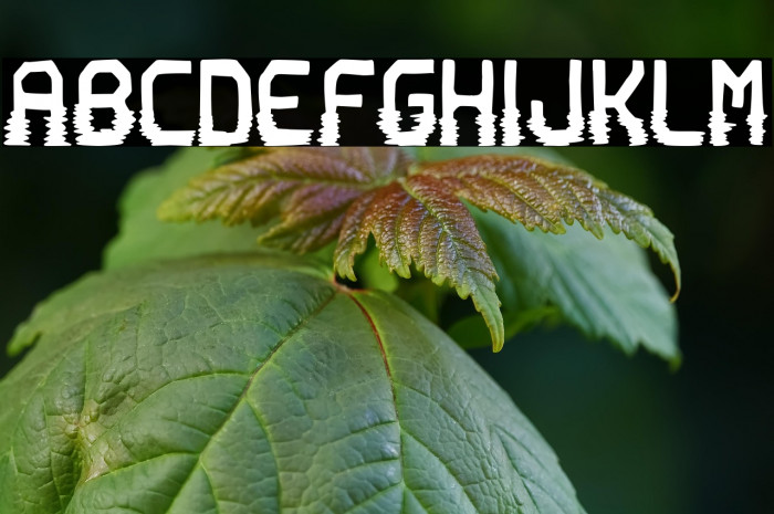 Prison of Love Example 3