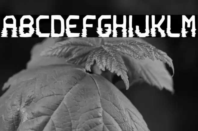 Prison of Love Font examples