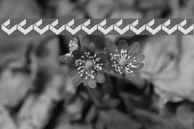 PrisonBricks Font examples