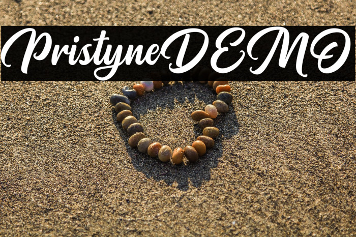 PristyneDEMO Example 1