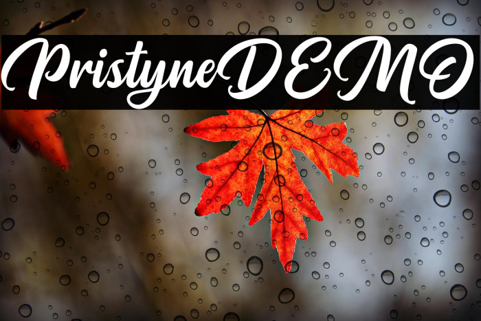 PristyneDEMO Example 2