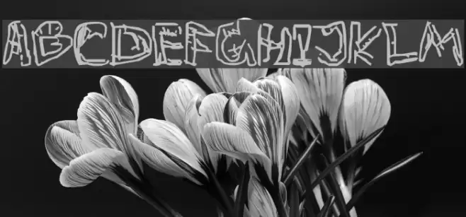 Private Death Polices examples